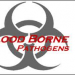 bloodborne pathogens certificate
