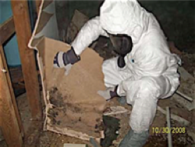 Asbestos Removal Daventry